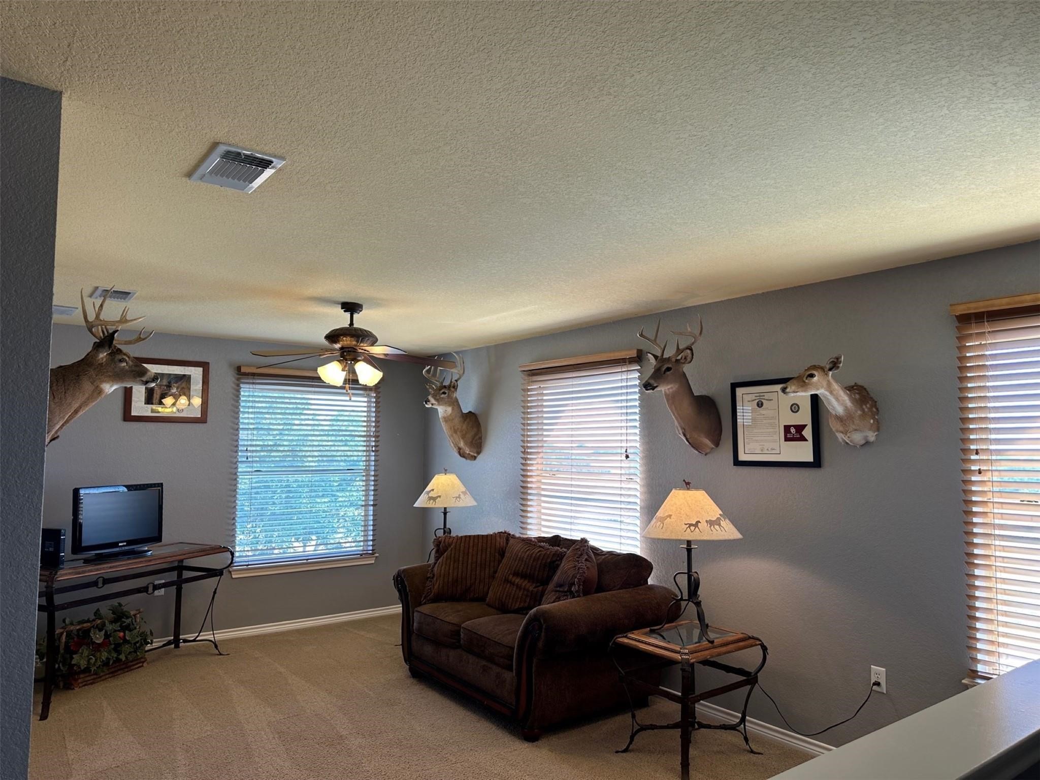 2901 Wind Mill Court Tolar TX 76476