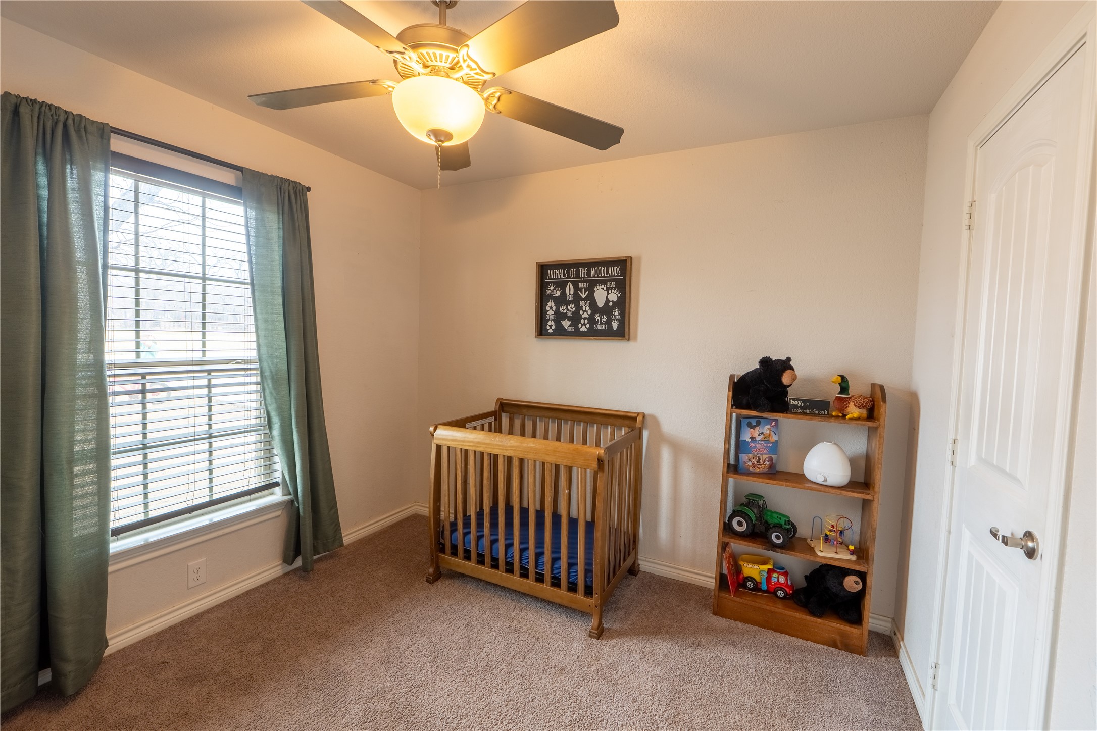 207 Shady Oaks Drive Runaway Bay TX 76426