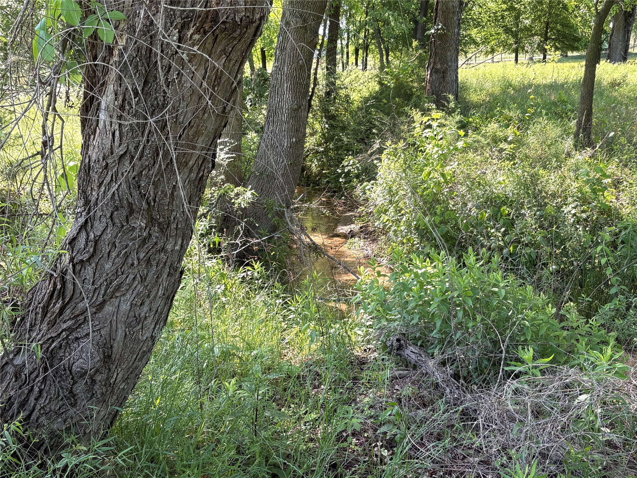 356 County Road 1439 Sulphur Springs TX 75482
