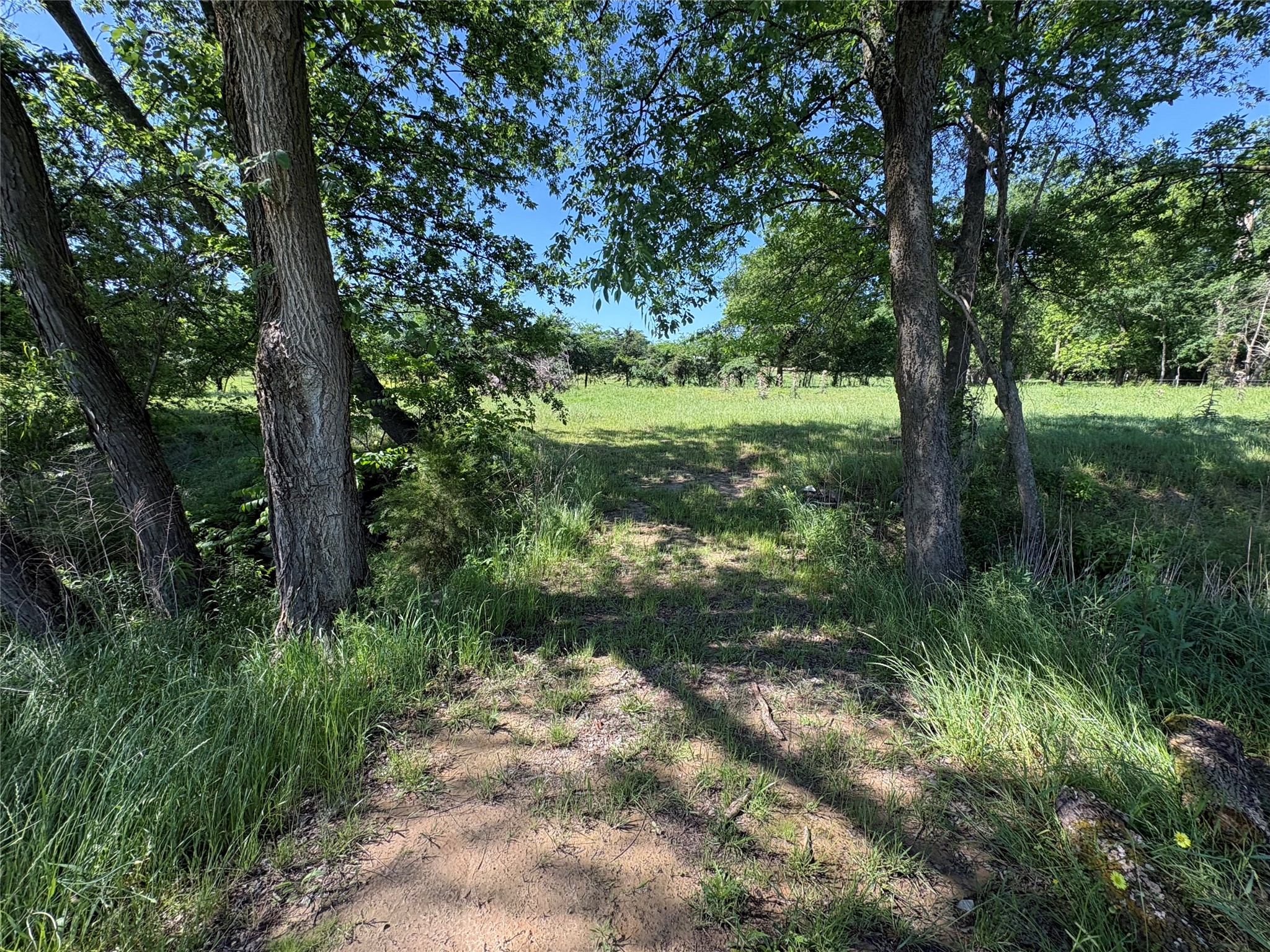 356 County Road 1439 Sulphur Springs TX 75482
