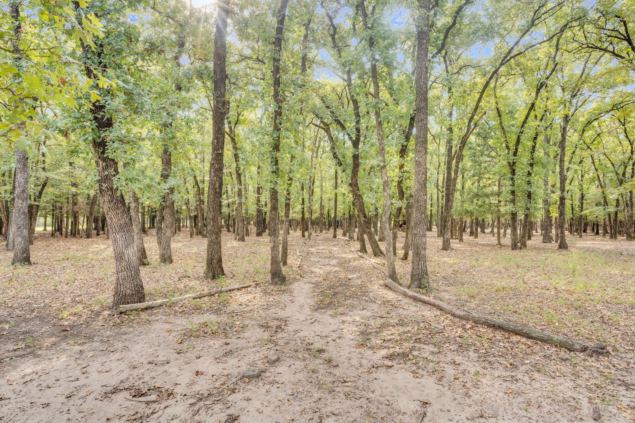 7731 Shady Lane Scurry TX 75158