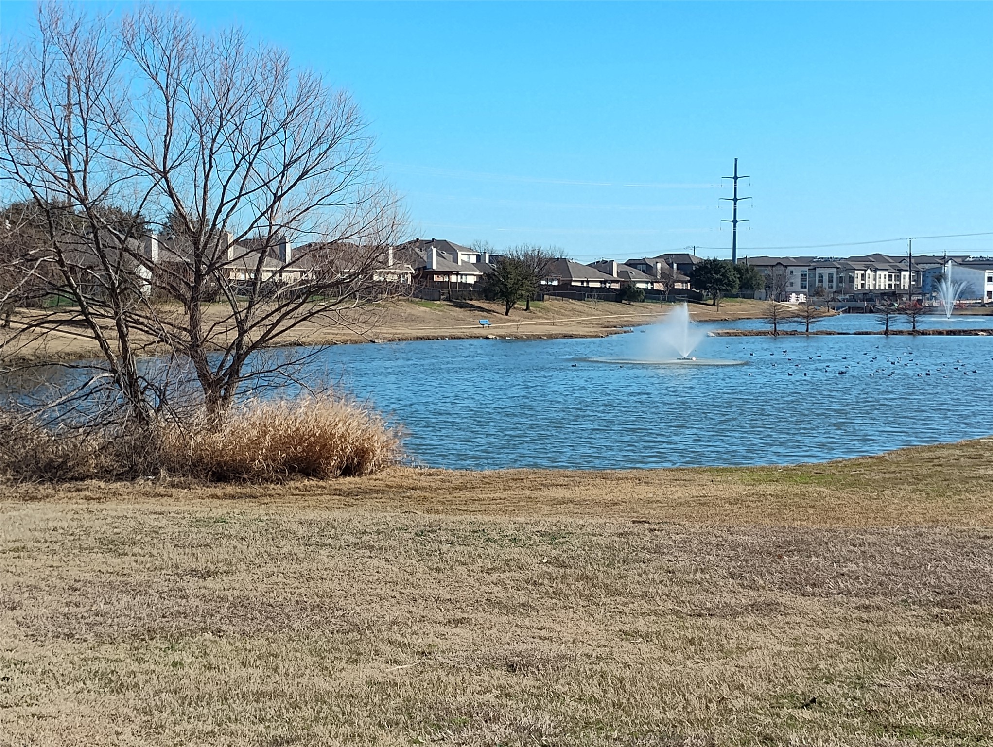 11705 Netleaf Lane Fort Worth TX 76244