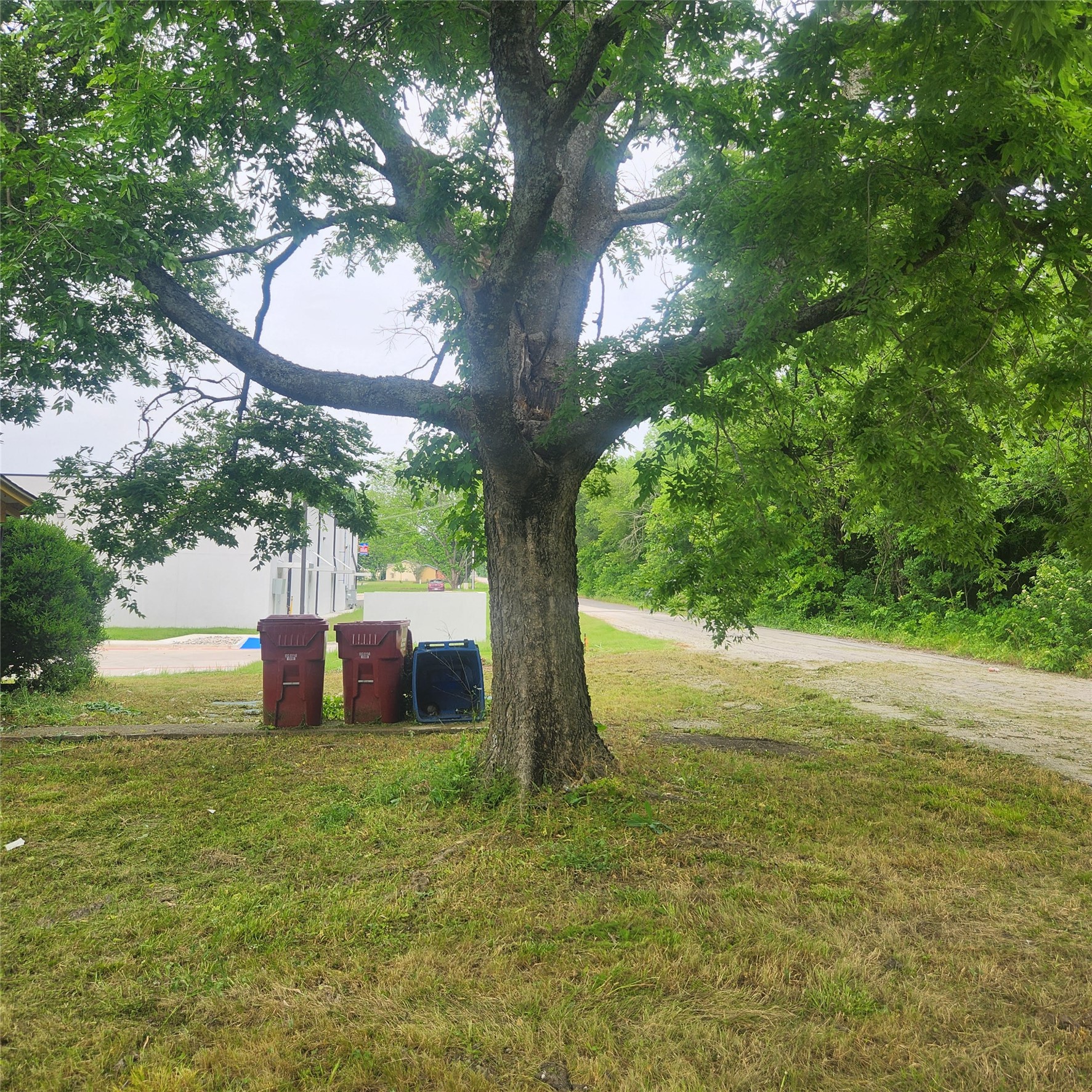 520 Locust Street Farmersville TX 75442