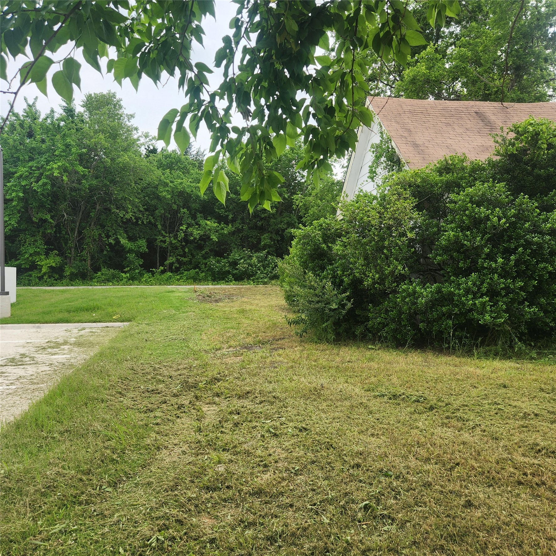 520 Locust Street Farmersville TX 75442