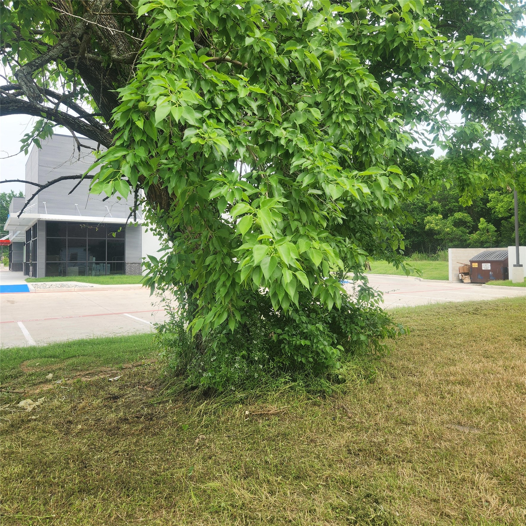 520 Locust Street Farmersville TX 75442