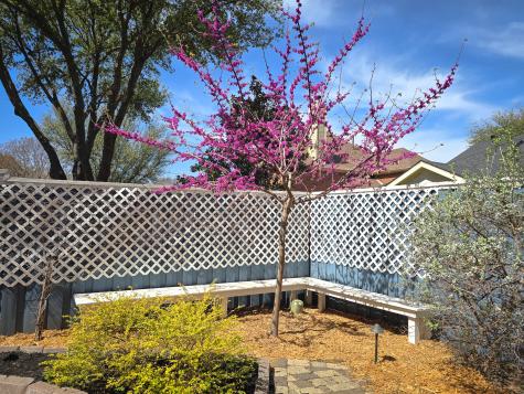 2512 Blue Ridge Trail Flower Mound TX 75028
