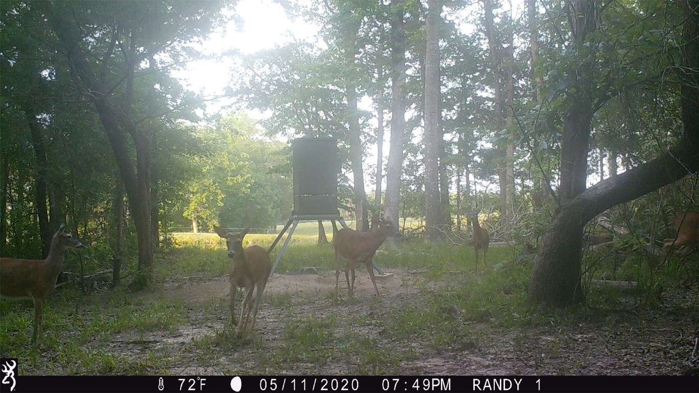 5001 Vz Cr 4915 Road Ben Wheeler TX 75754