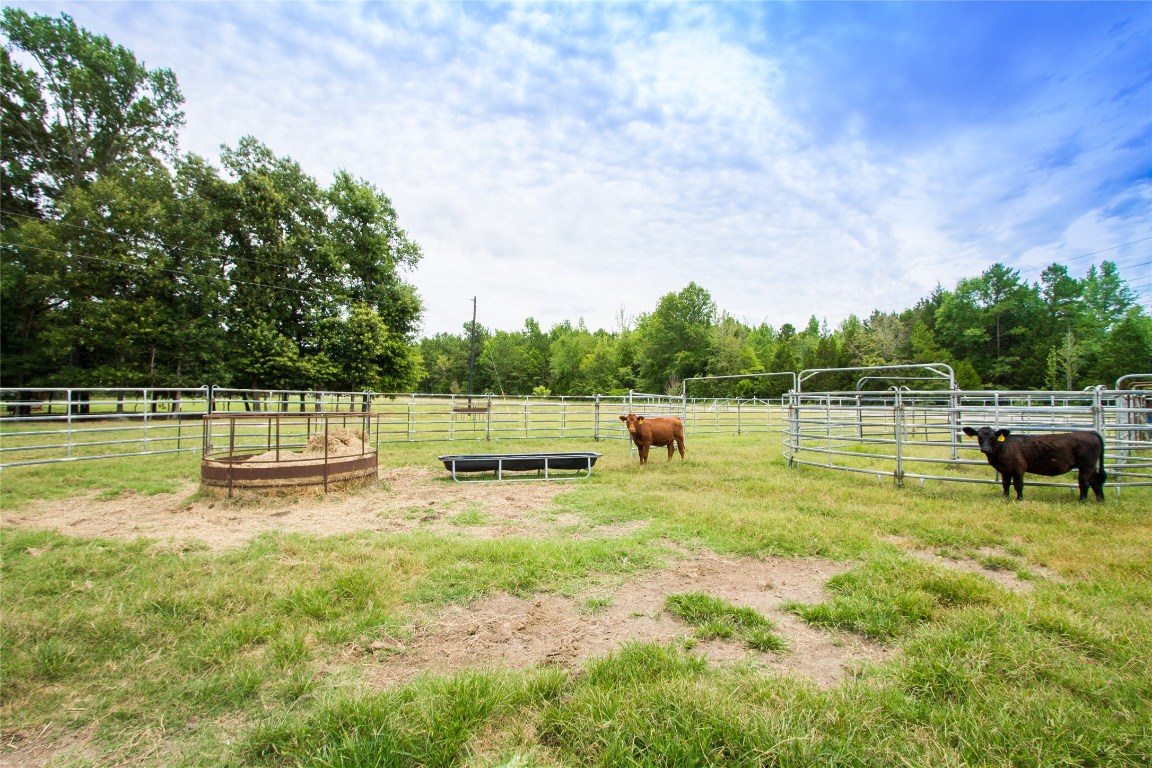5001 Vz Cr 4915 Road Ben Wheeler TX 75754