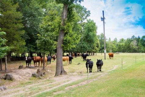 5001 Vz Cr 4915 Road Ben Wheeler TX 75754