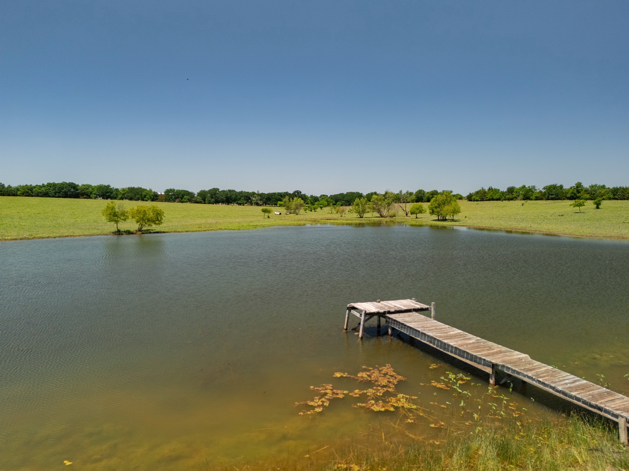 12099 Cr 1028 Blue Ridge TX 75424