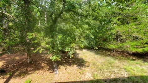 1476 W Holly Trail Holly Lake Ranch TX 75765