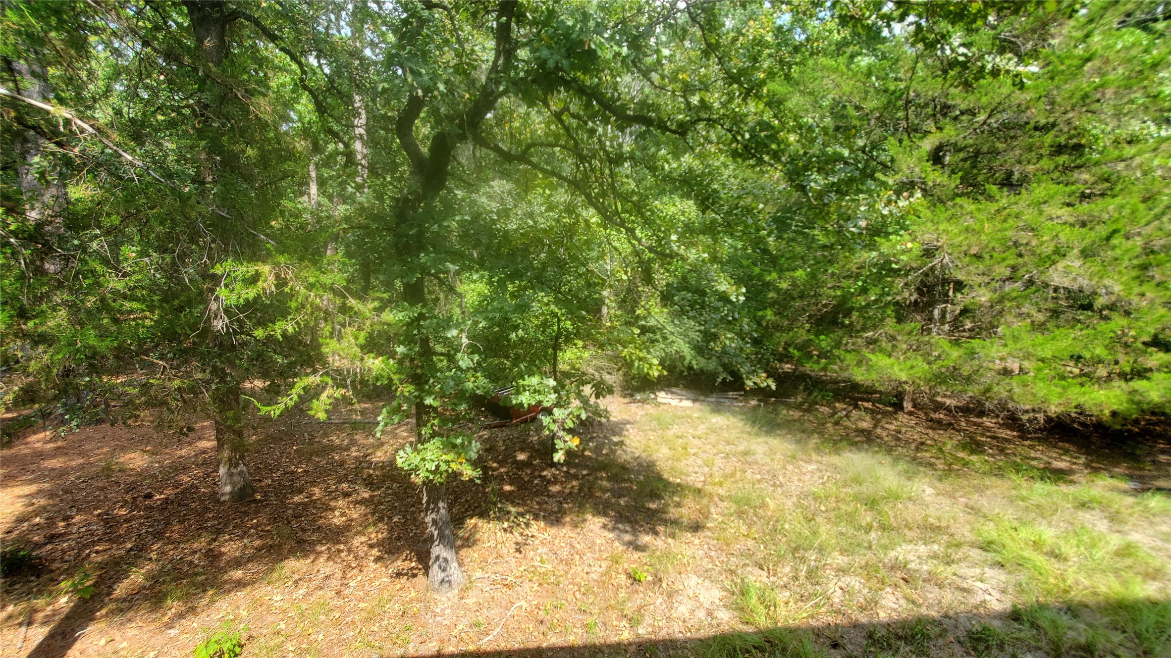 1476 W Holly Trail Holly Lake Ranch TX 75765