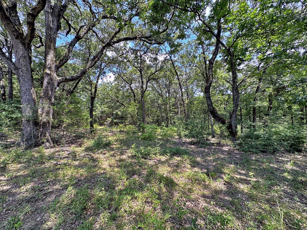 10466 Fm 3273 Athens TX 75751