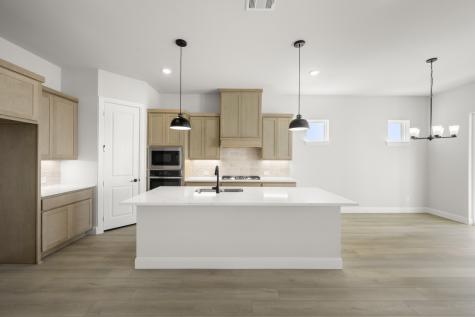 16953 Leatherflower Fort Worth TX 76247
