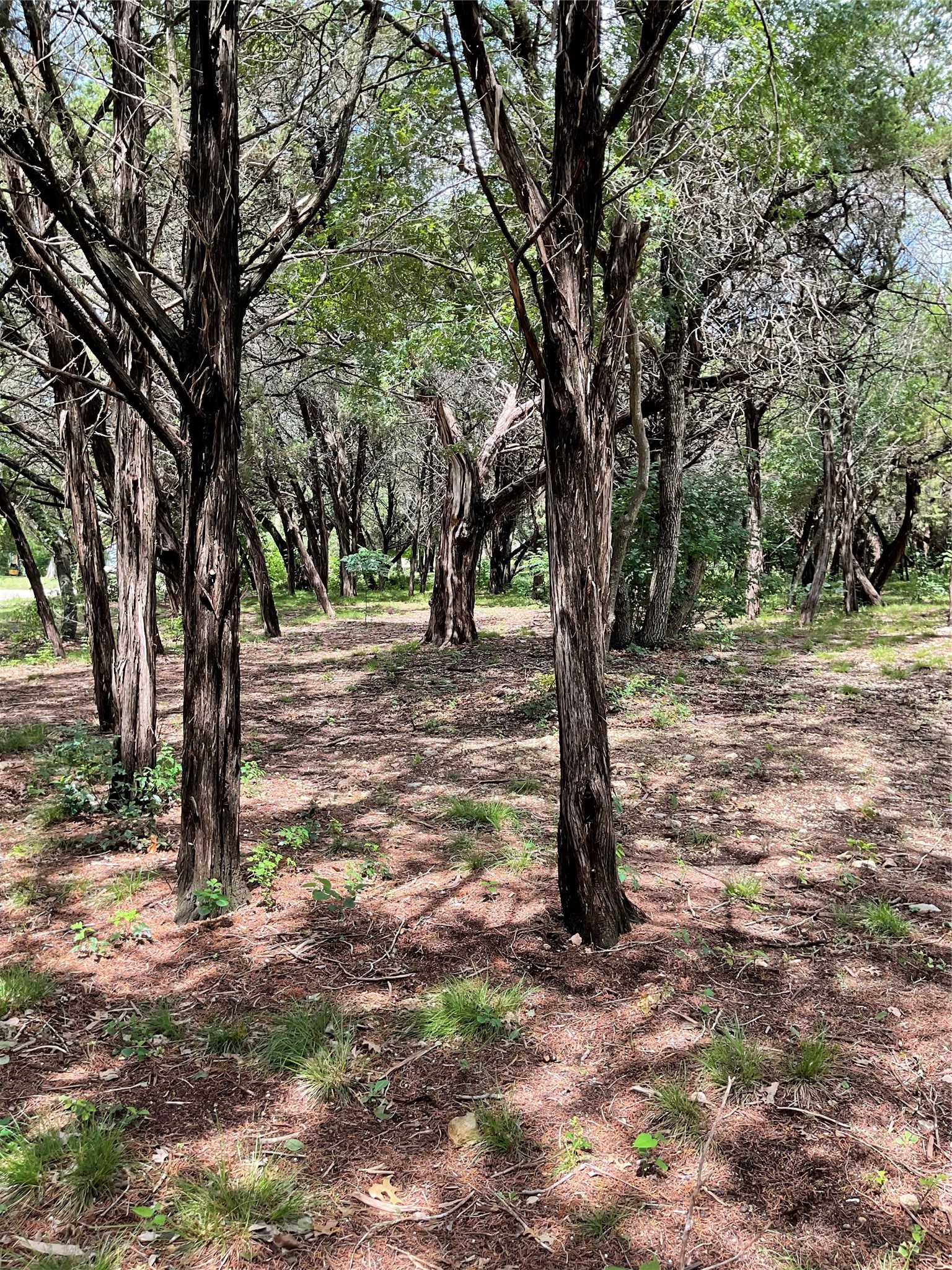 4920 Shining Star Trail Rio Vista TX 76093