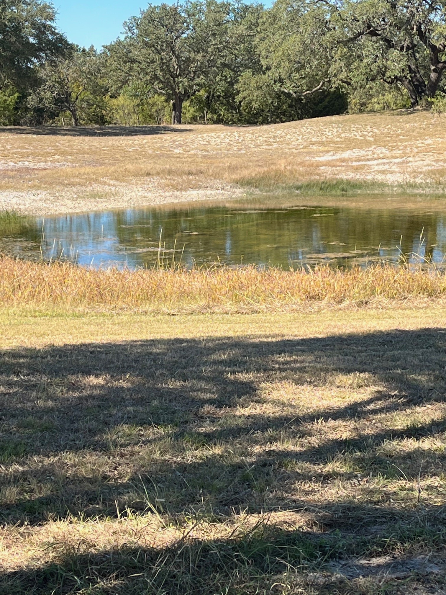 915 W Hwy 84 Highway W Mullin TX 76864