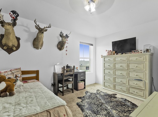 6252 Spokane Drive Fort Worth TX 76179