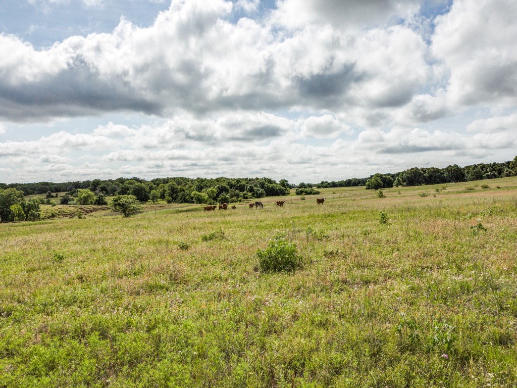 1662 Ross Lane Boyd TX 76023