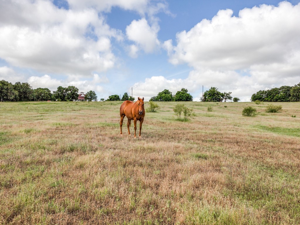 1662 Ross Lane Boyd TX 76023