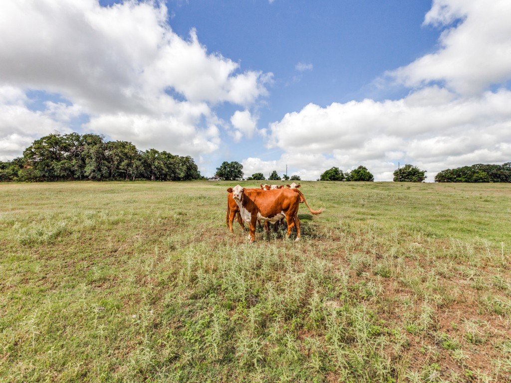 1662 Ross Lane Boyd TX 76023
