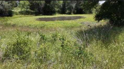 932 Fm 3137 Palo Pinto TX 76484