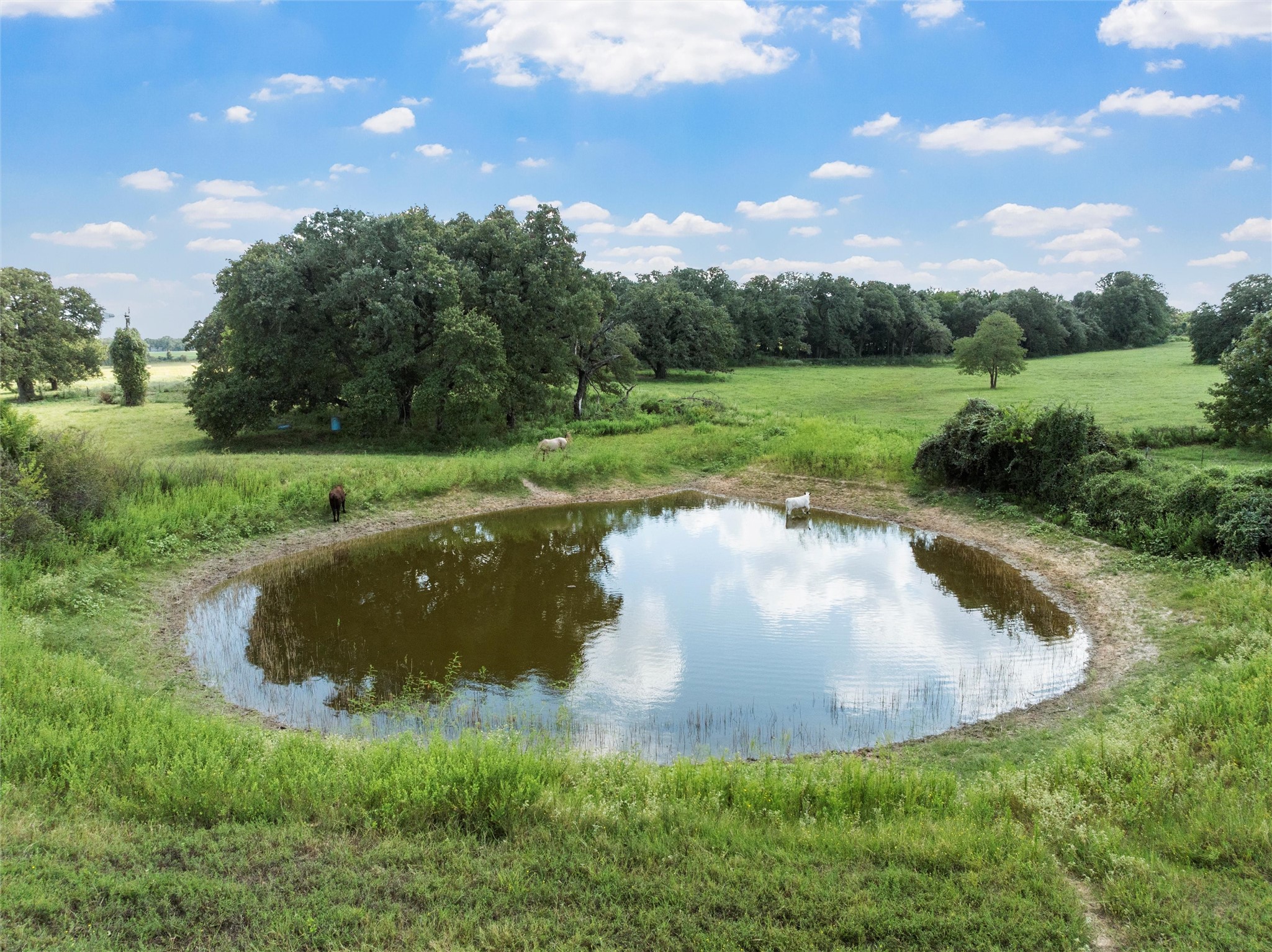 284 County Road 326a Rosebud TX 76570