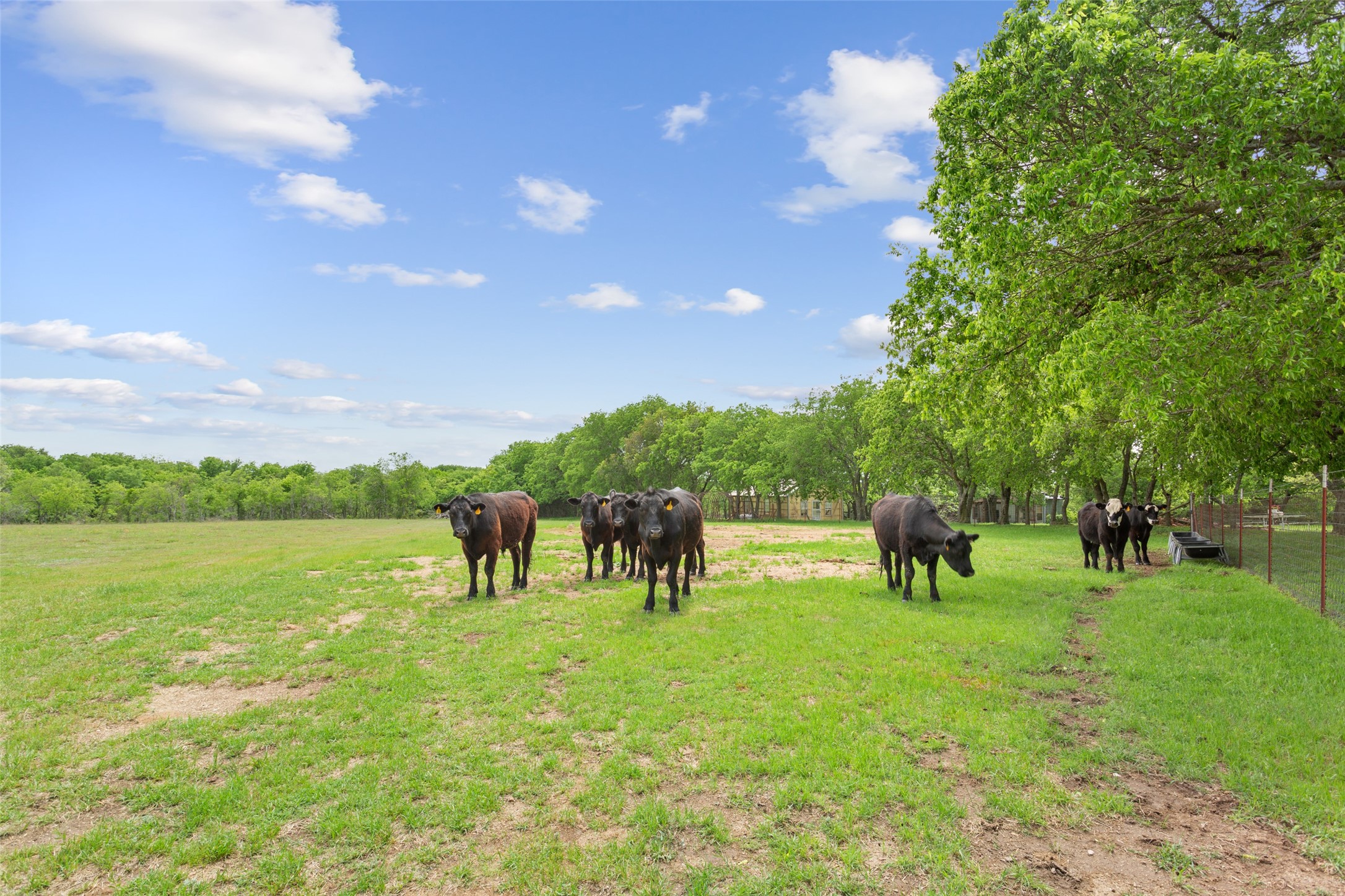 1277 Hcr 4251 Hillsboro TX 76645