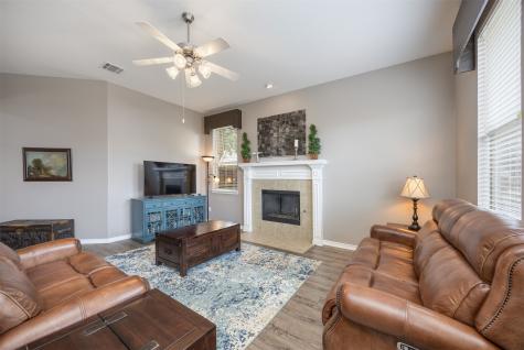713 Sweet Peach Drive Allen TX 75002