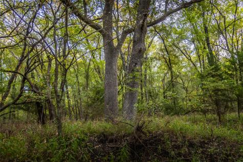 5147 Texas Highway 19 Cooper TX 75432