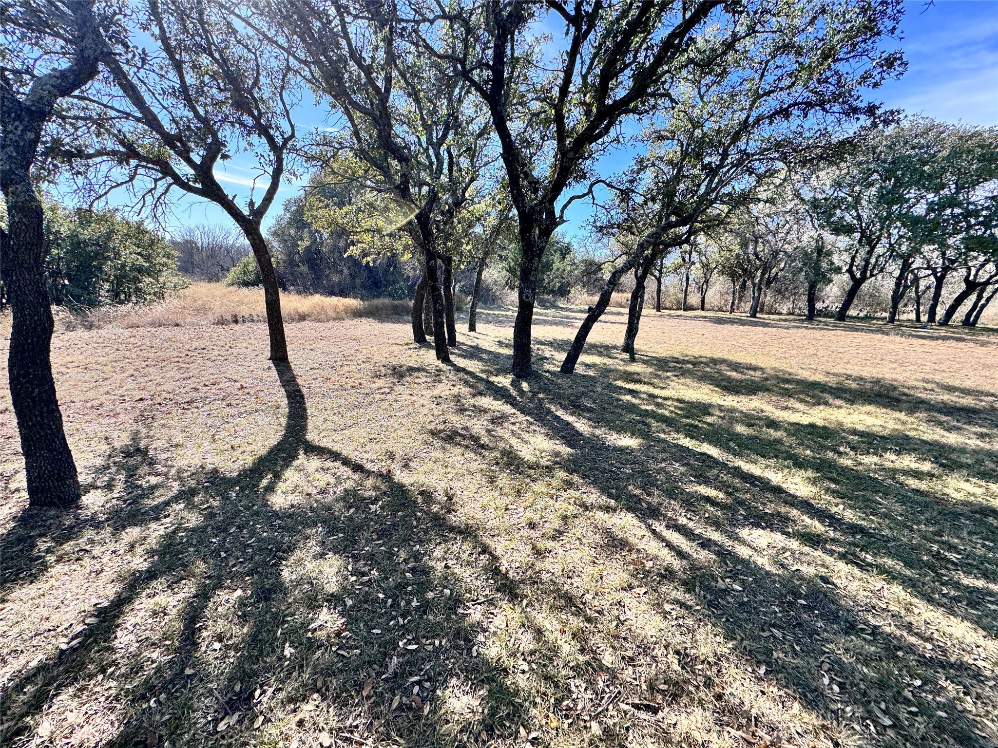125 Torres Lane Brownwood TX 76801