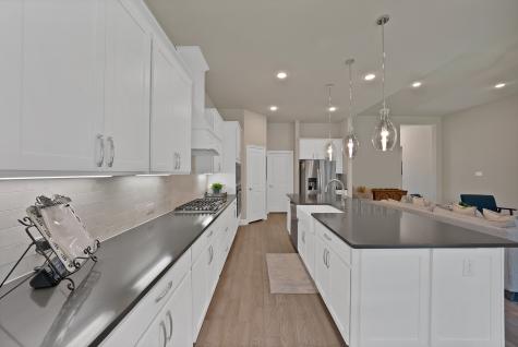 205 Northern Star Court Little Elm TX 75068