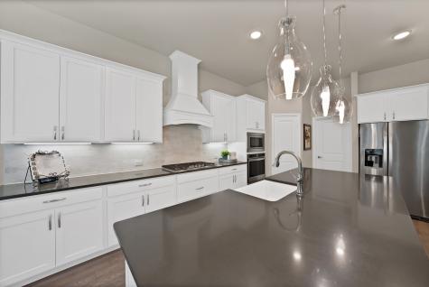 205 Northern Star Court Little Elm TX 75068