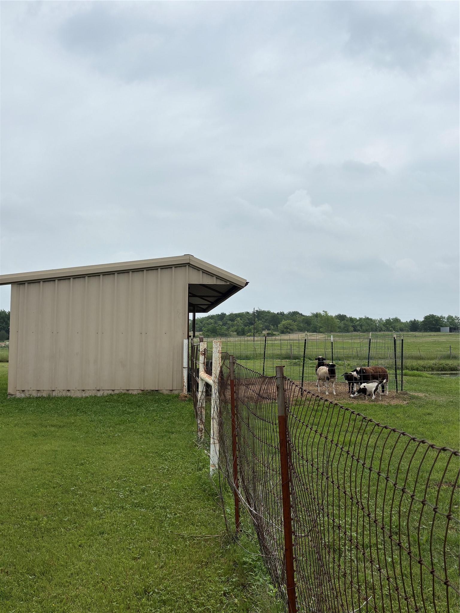 510 Old Sawmill Road Axtell TX 76624
