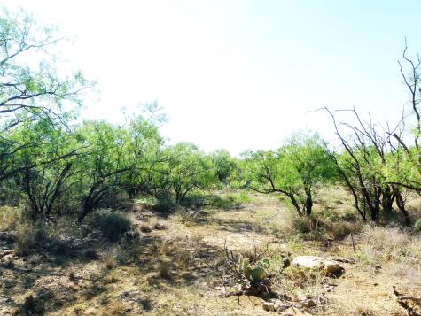 1558 County Road 334 Gouldbusk TX 76845