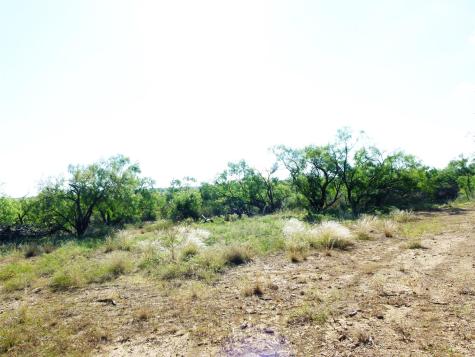 1558 County Road 334 Gouldbusk TX 76845