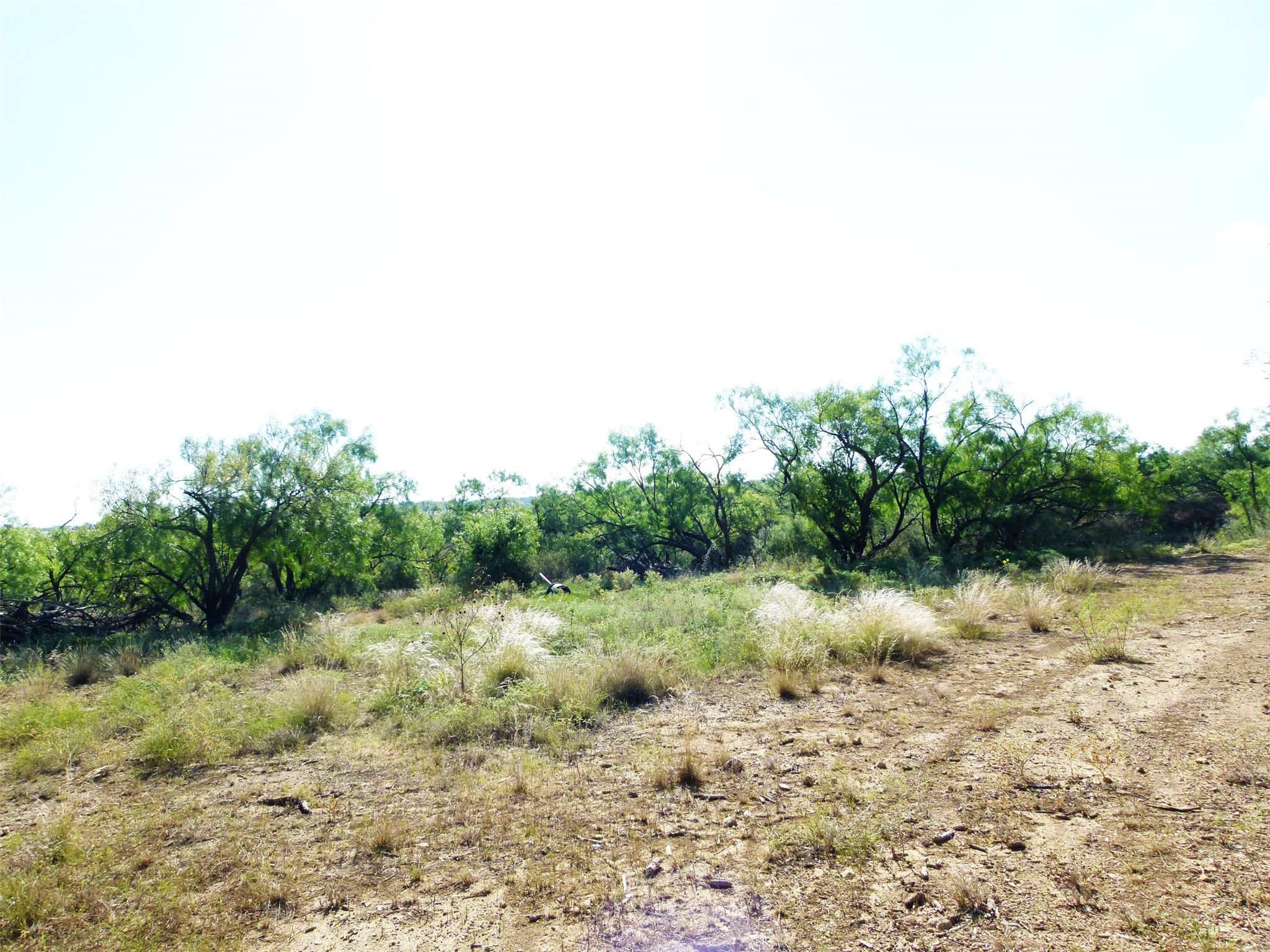 1558 County Road 334 Gouldbusk TX 76845