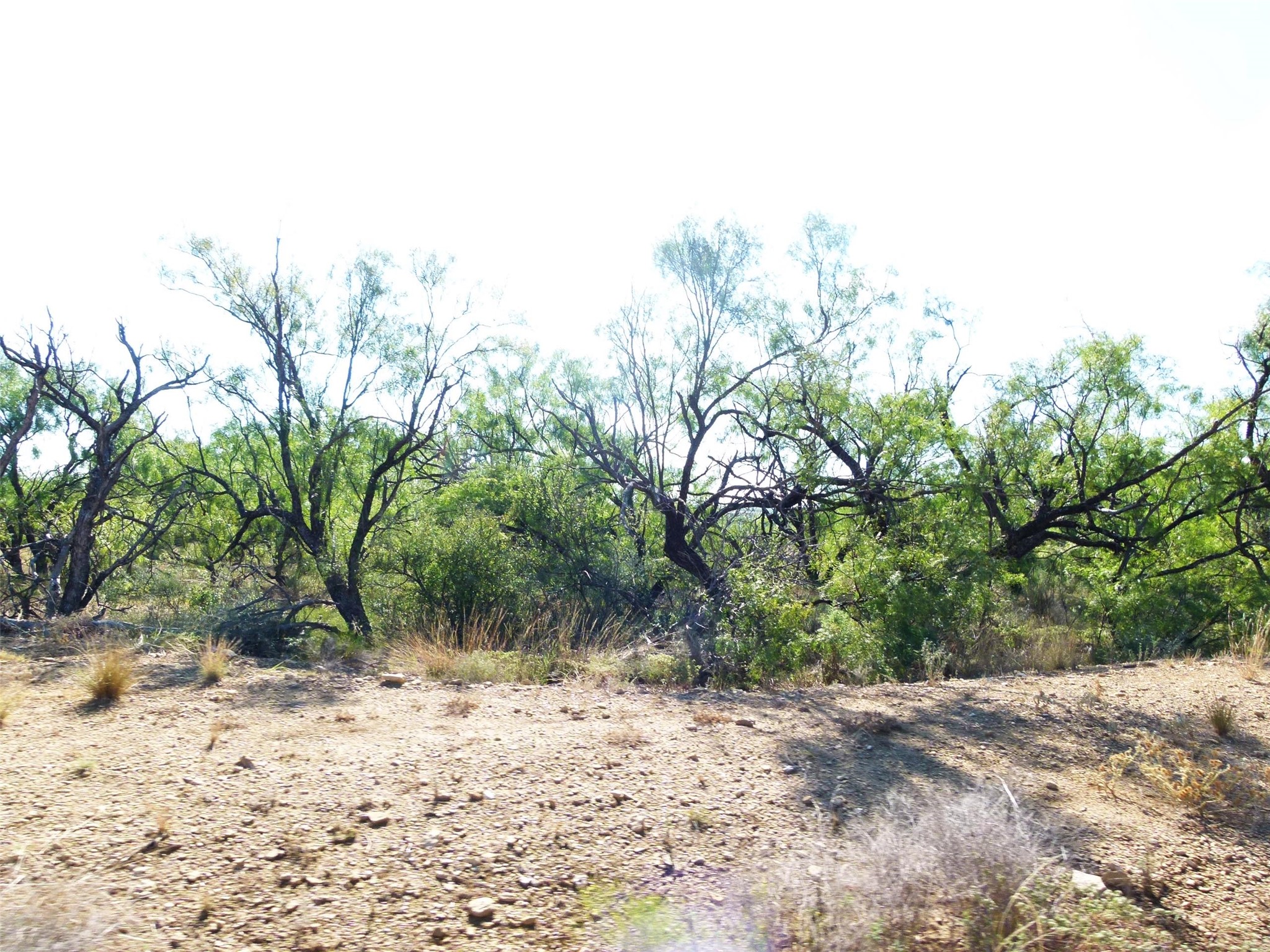 1558 County Road 334 Gouldbusk TX 76845
