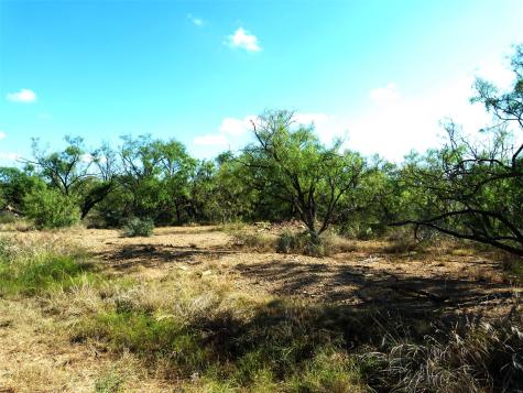 1558 County Road 334 Gouldbusk TX 76845
