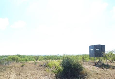 1558 County Road 334 Gouldbusk TX 76845