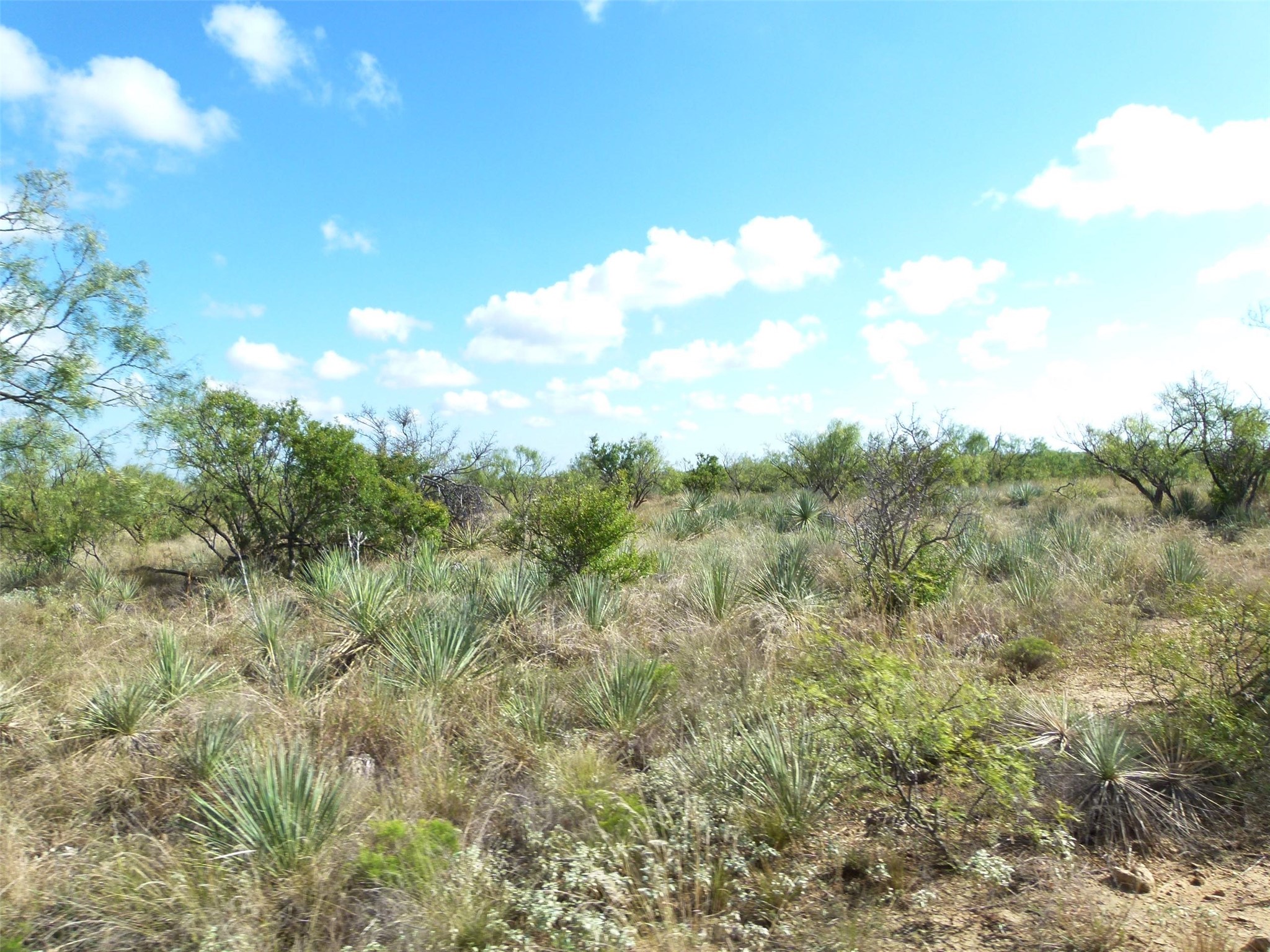 1558 County Road 334 Gouldbusk TX 76845
