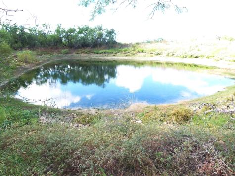 1558 County Road 334 Gouldbusk TX 76845