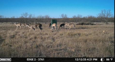 1558 County Road 334 Gouldbusk TX 76845