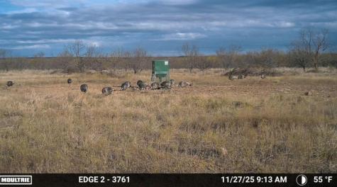 1558 County Road 334 Gouldbusk TX 76845