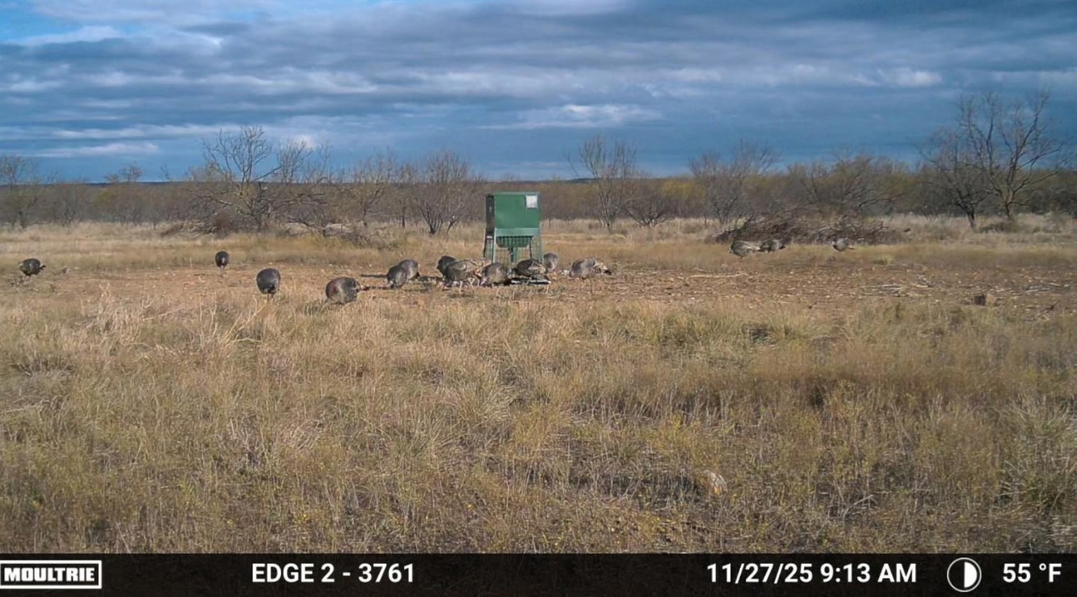 1558 County Road 334 Gouldbusk TX 76845