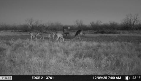 1558 County Road 334 Gouldbusk TX 76845