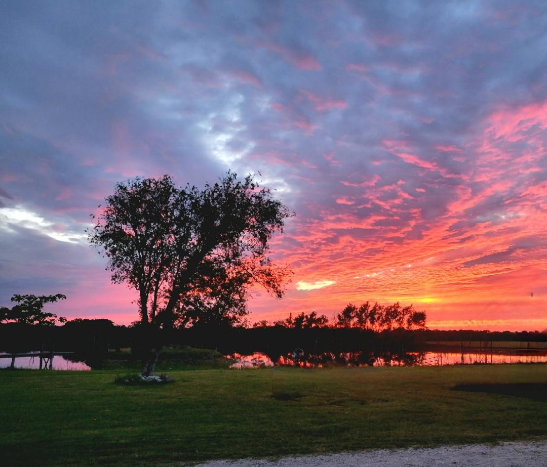 3356 Kattner Road Riesel TX 76682