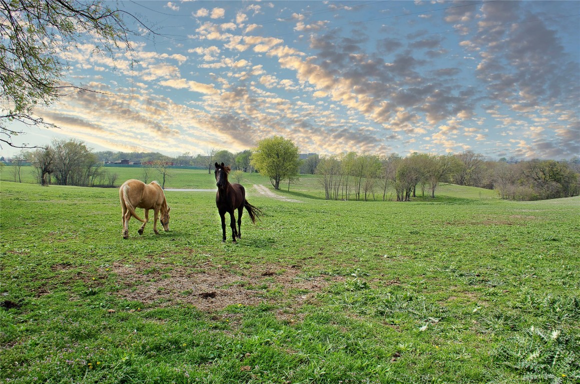 3340 Fm 1446 Waxahachie TX 75167