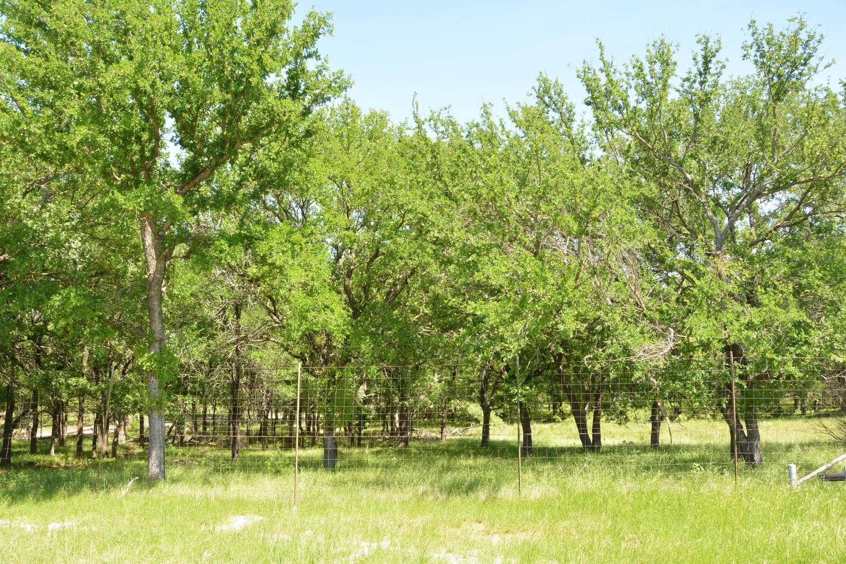 138 Pr 3417 Boyd TX 76426