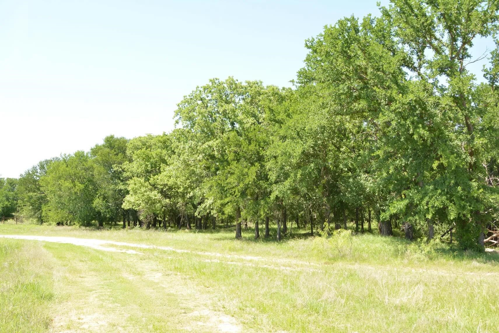 138 Pr 3417 Boyd TX 76426