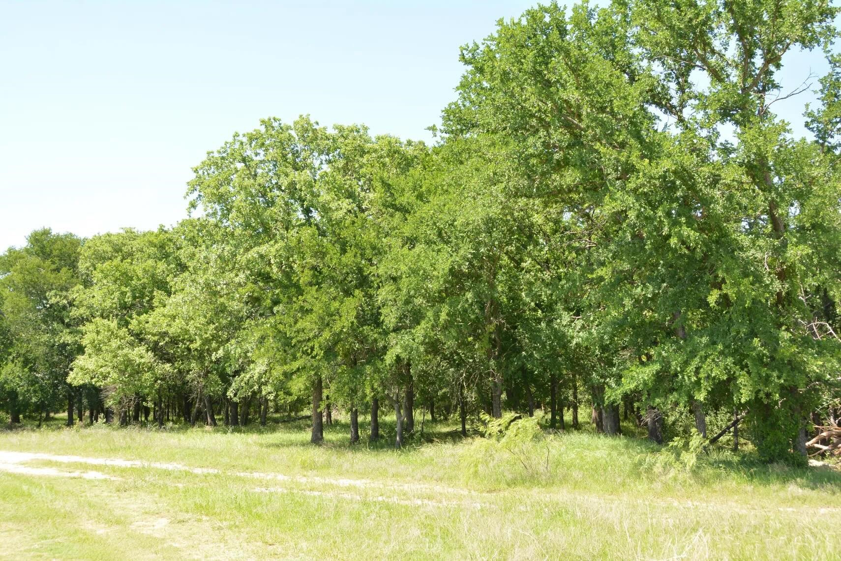 138 Pr 3417 Boyd TX 76426